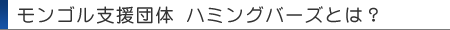 モンゴルについて